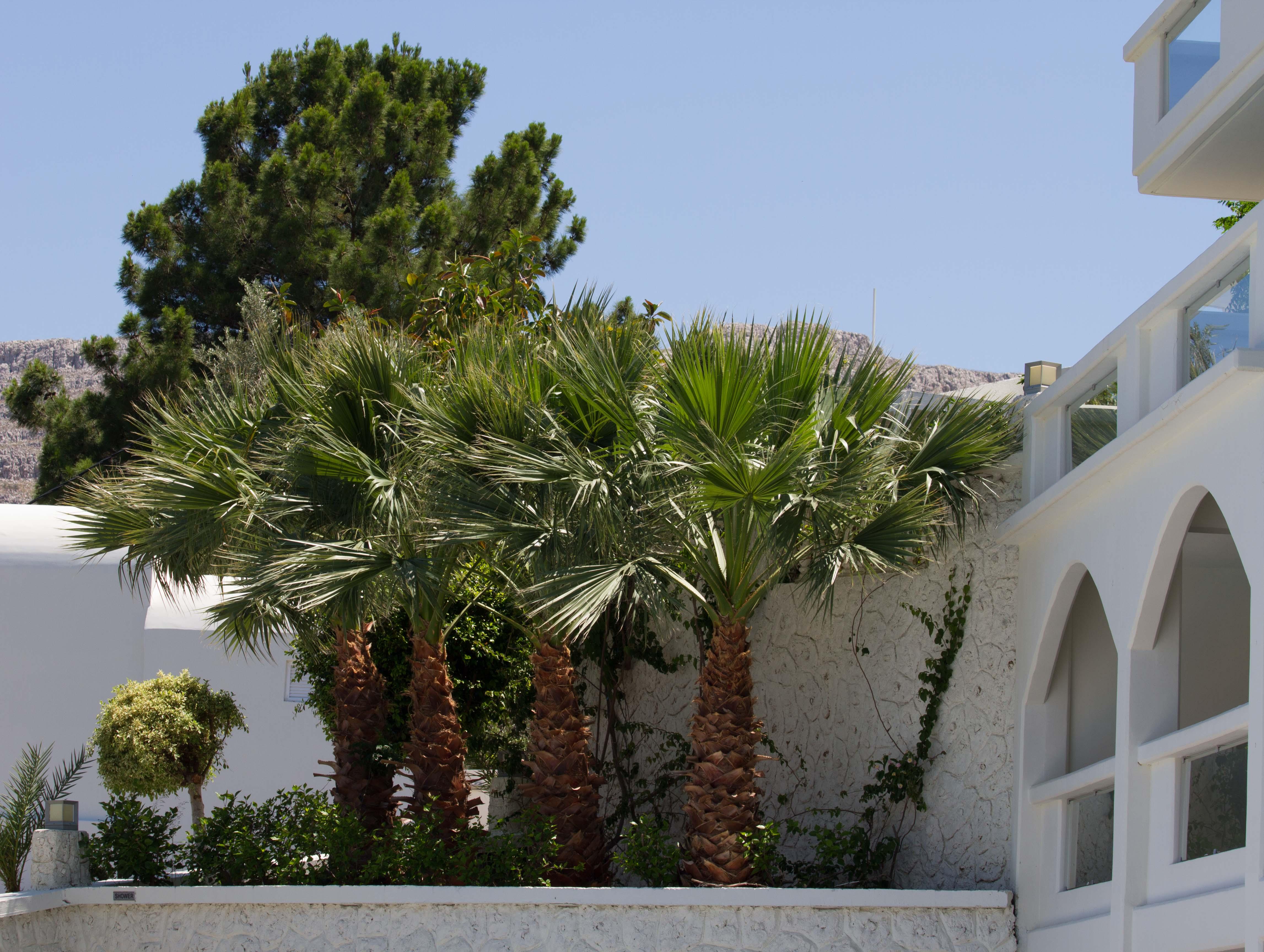 Lindos White Hotel&Suites Líndos Exterior foto
